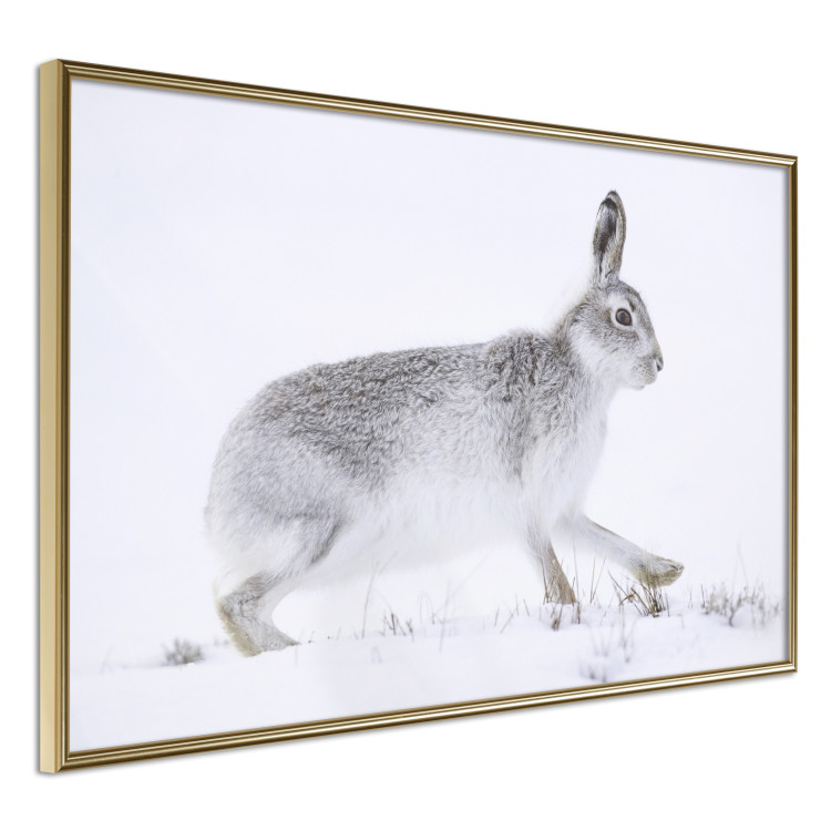 Wall Poster Rabbit 123994 additionalImage 14