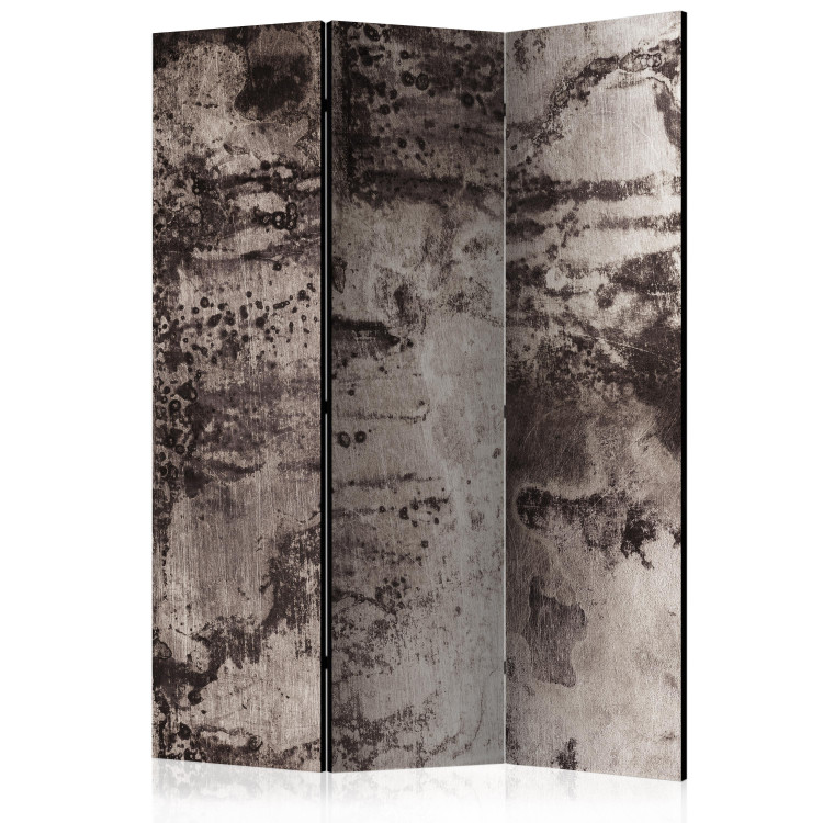 Room Divider Screen Old Metal (3-piece) - composition with shades of gray background 124294