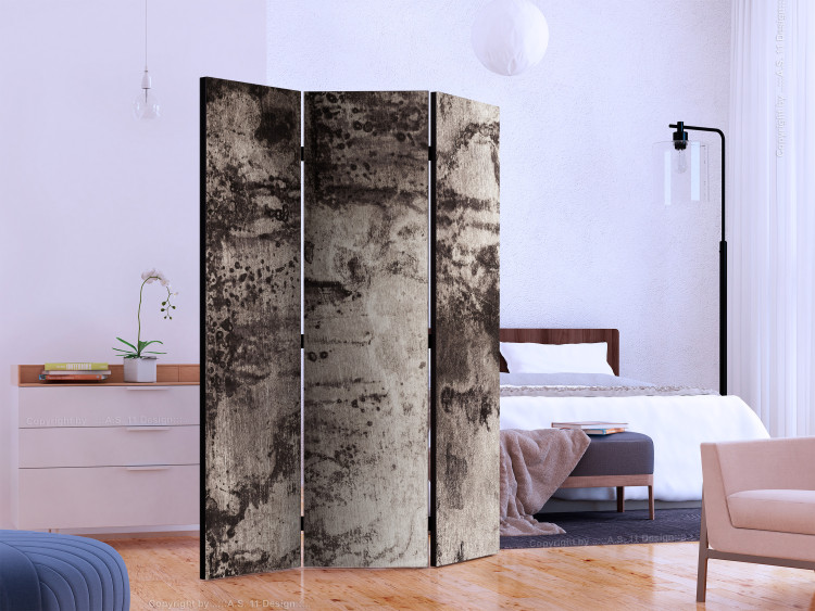 Room Divider Screen Old Metal (3-piece) - composition with shades of gray background 124294 additionalImage 2