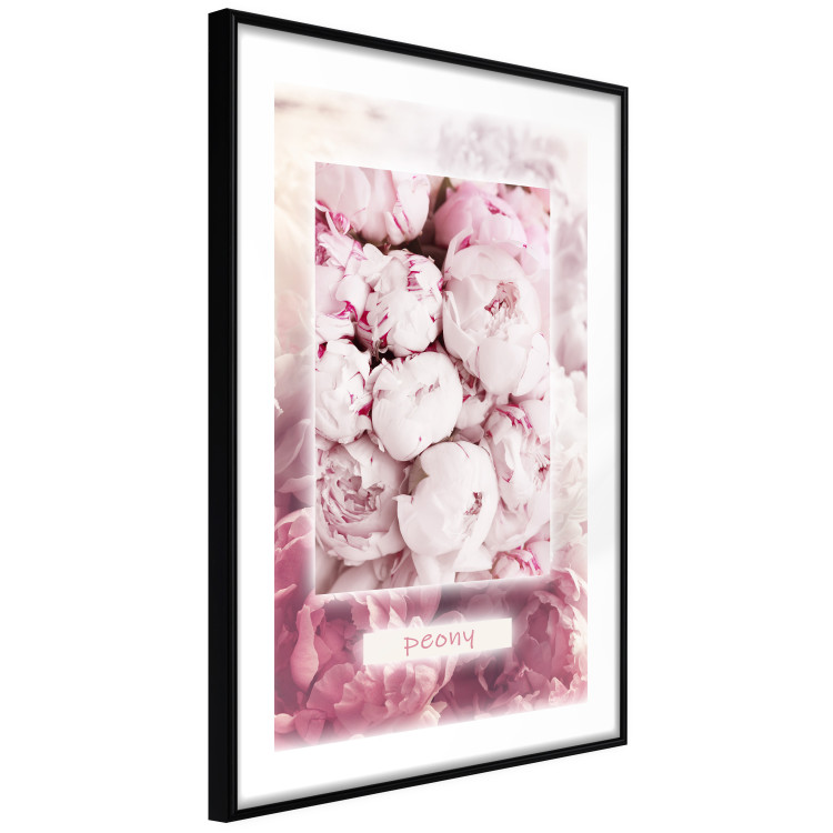 Wall Poster Spring Delicacy - light pink flowers and English text 126194 additionalImage 11