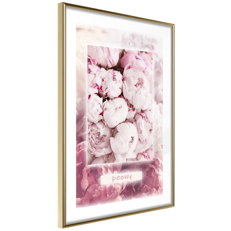 Wall Poster Spring Delicacy - light pink flowers and English text 126194 additionalImage 6