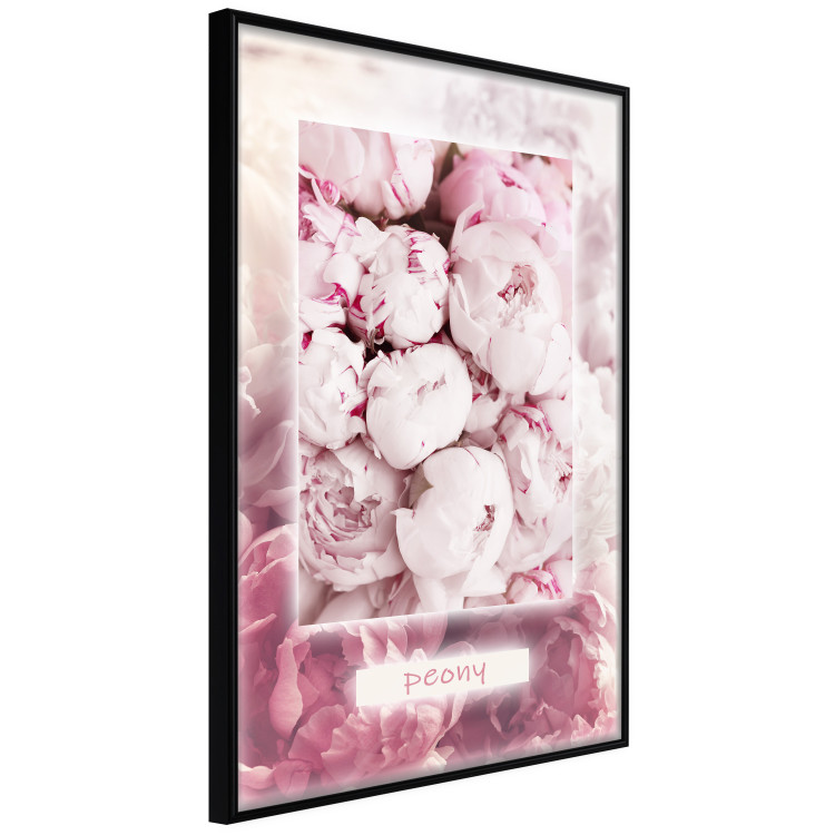 Wall Poster Spring Delicacy - light pink flowers and English text 126194 additionalImage 10