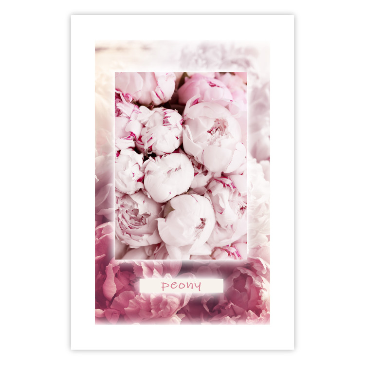 Wall Poster Spring Delicacy - light pink flowers and English text 126194 additionalImage 19