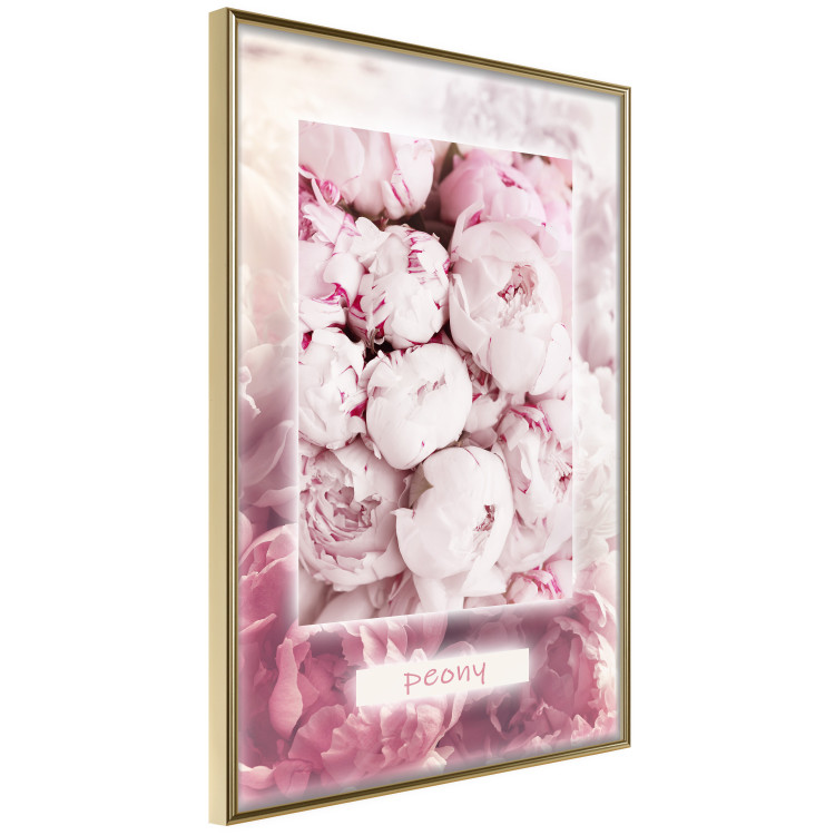 Wall Poster Spring Delicacy - light pink flowers and English text 126194 additionalImage 12