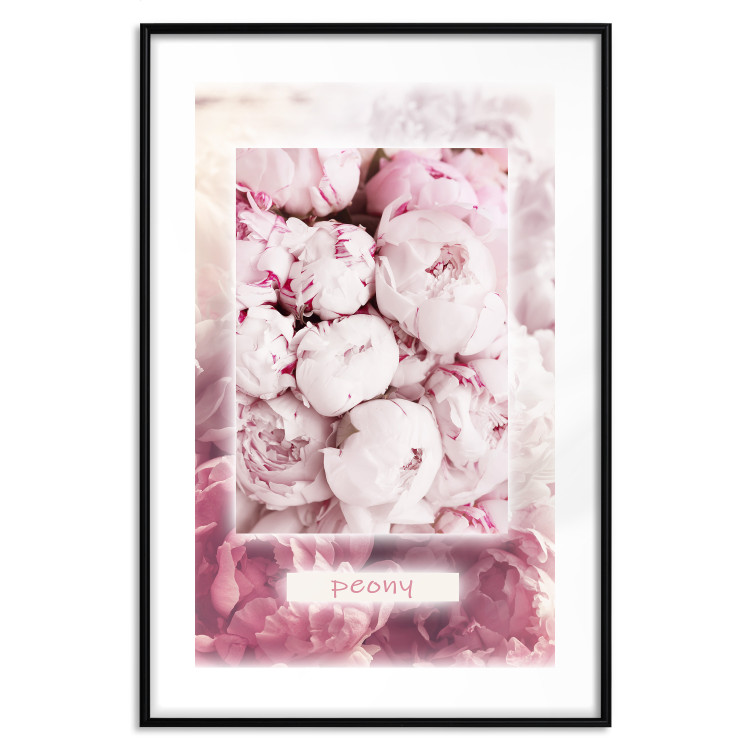 Wall Poster Spring Delicacy - light pink flowers and English text 126194 additionalImage 15