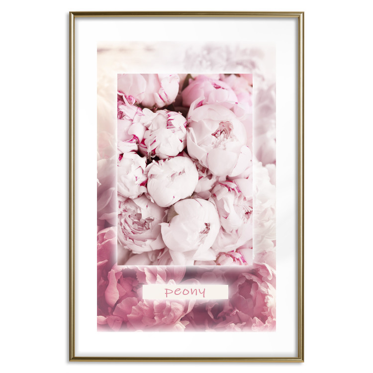 Wall Poster Spring Delicacy - light pink flowers and English text 126194 additionalImage 14