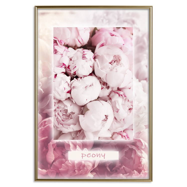 Wall Poster Spring Delicacy - light pink flowers and English text 126194 additionalImage 16