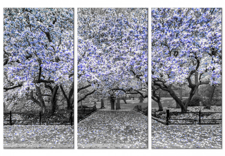 Canvas Art Print Blooming Magnolias - triptych with magnolia trees and violet flowers 128794