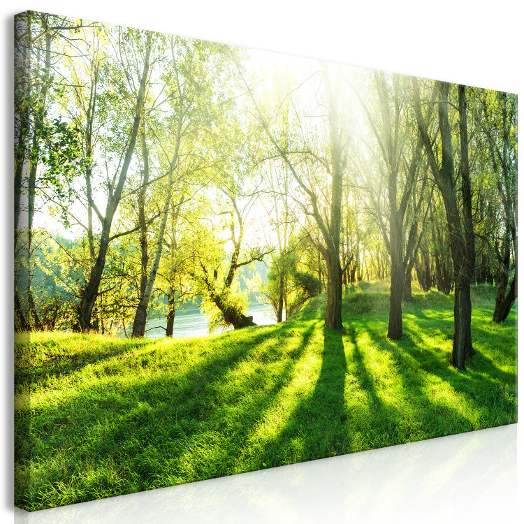 Large canvas print Rays of Sunshine II [Large Format] 128894 additionalImage 2