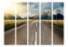 Room Divider Long Road II (5-piece) - road and snowy mountain landscape in the distance 133194 additionalThumb 3