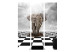 Room Divider Escape from Africa (3-piece) - abstraction with an elephant and a checkerboard 133394 additionalThumb 3