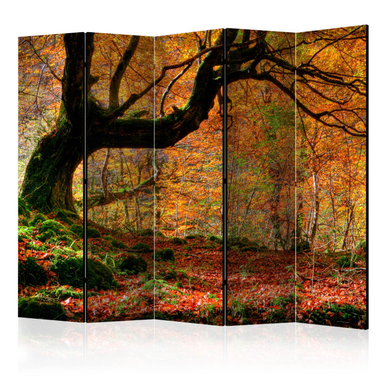 Room Divider Autumn, Forest, and Leaves II - autumn composition of forest with golden leaves 133994