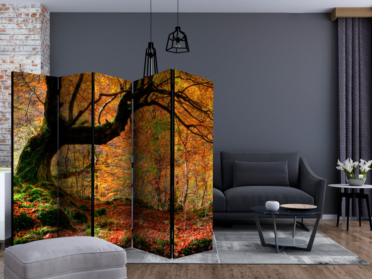 Room Divider Autumn, Forest, and Leaves II - autumn composition of forest with golden leaves 133994 additionalImage 4
