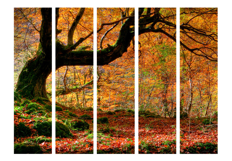 Room Divider Autumn, Forest, and Leaves II - autumn composition of forest with golden leaves 133994 additionalImage 3