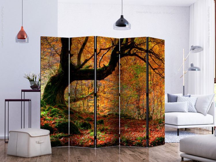 Room Divider Autumn, Forest, and Leaves II - autumn composition of forest with golden leaves 133994 additionalImage 2