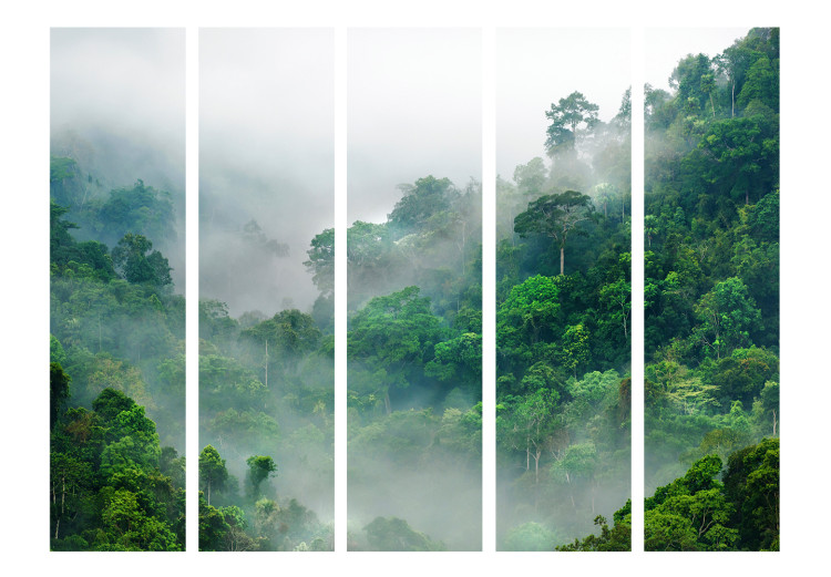 Room Divider Morning Mist II - landscape of a tropical forest in heavy mist 134094 additionalImage 3
