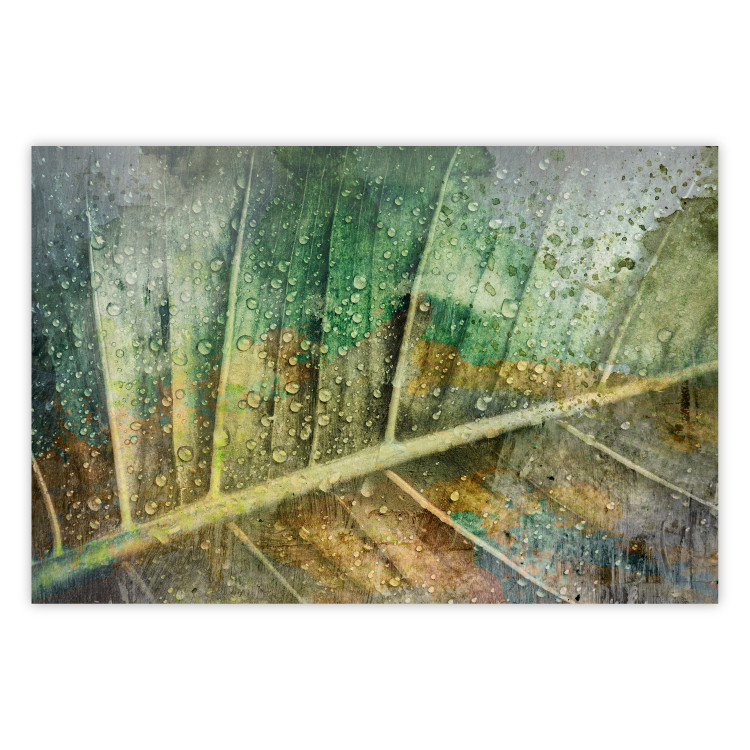 Wall Poster Colorfulness - green composition with a leaf and small raindrops 135794