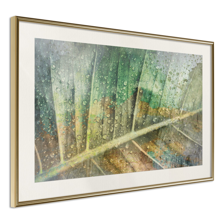 Wall Poster Colorfulness - green composition with a leaf and small raindrops 135794 additionalImage 10