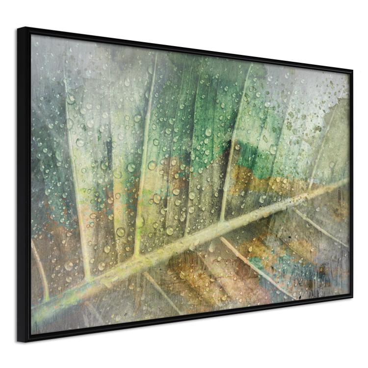 Wall Poster Colorfulness - green composition with a leaf and small raindrops 135794 additionalImage 5