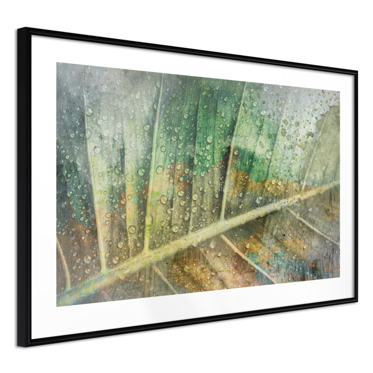 Wall Poster Colorfulness - green composition with a leaf and small raindrops 135794 additionalImage 7