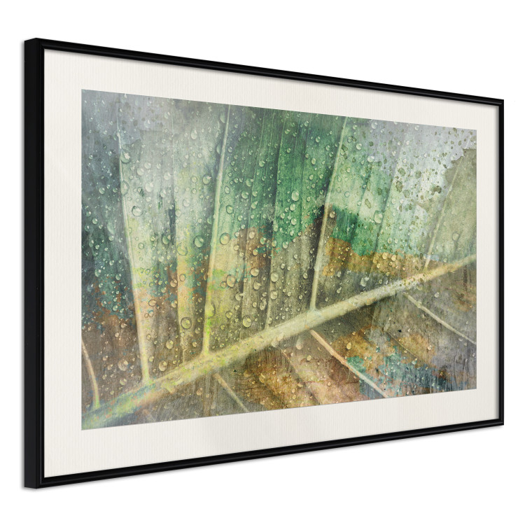 Wall Poster Colorfulness - green composition with a leaf and small raindrops 135794 additionalImage 9