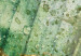 Wall Poster Colorfulness - green composition with a leaf and small raindrops 135794 additionalThumb 2