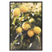 Poster Italian Citrus - composition with yellow lemons against green plants 135894 additionalThumb 6