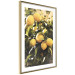 Poster Italian Citrus - composition with yellow lemons against green plants 135894 additionalThumb 13
