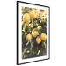 Poster Italian Citrus - composition with yellow lemons against green plants 135894 additionalThumb 14