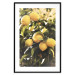 Poster Italian Citrus - composition with yellow lemons against green plants 135894 additionalThumb 3