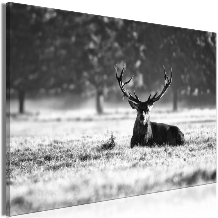 Large canvas print Lying Deer [Large Format] 137594 additionalImage 2