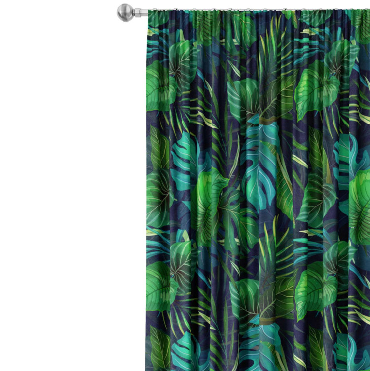 Decorative Curtain Variety of Philodendrons - an exotic leaves in various shades of green 147294 additionalImage 4