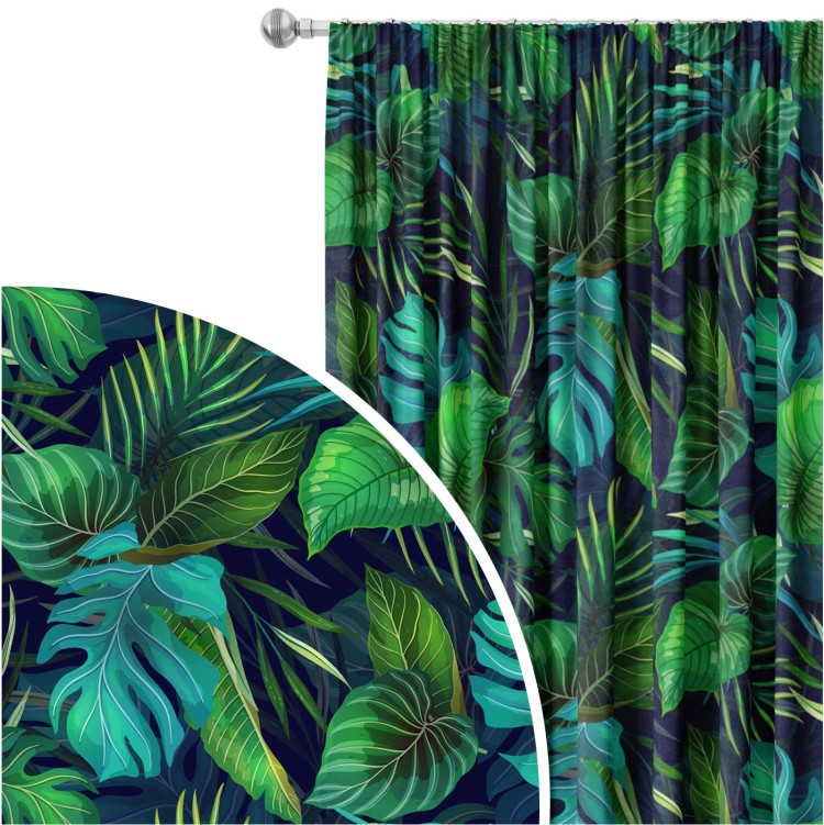 Decorative Curtain Variety of Philodendrons - an exotic leaves in various shades of green 147294