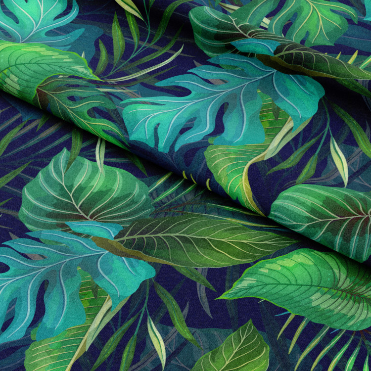 Decorative Curtain Variety of Philodendrons - an exotic leaves in various shades of green 147294 additionalImage 8