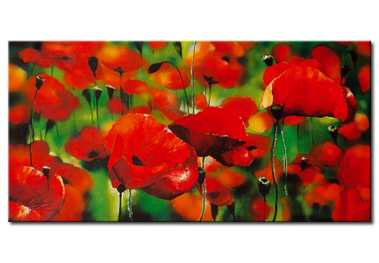 Canvas Print Red poppies - a meadow full of flowers of very saturated colors 47394