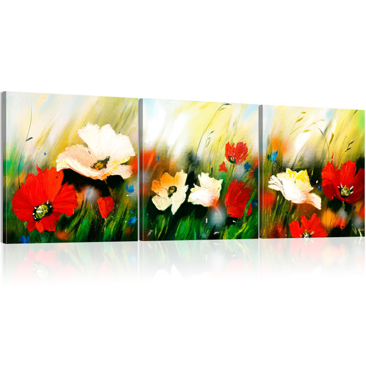 Canvas Wind on the Meadow (3-piece) - field flowers and poppies with green grass 47494 additionalImage 2