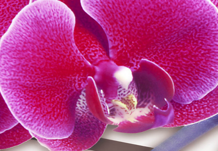 Canvas Orchid on a subdued background 55594 additionalImage 4