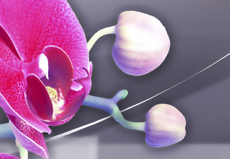 Canvas Orchid on a subdued background 55594 additionalImage 3