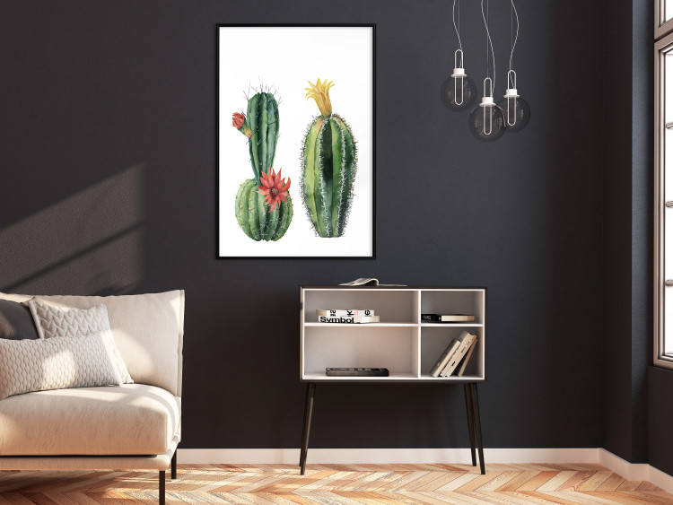 Wall Poster Cacti - composition of two blooming tropical plants on a white background 114305 additionalImage 6