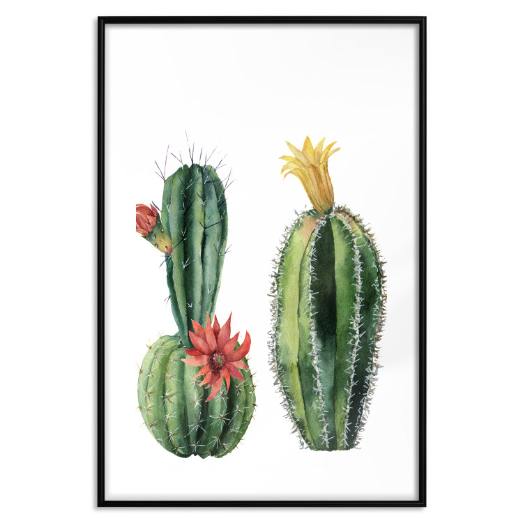 Wall Poster Cacti - composition of two blooming tropical plants on a white background 114305 additionalImage 17