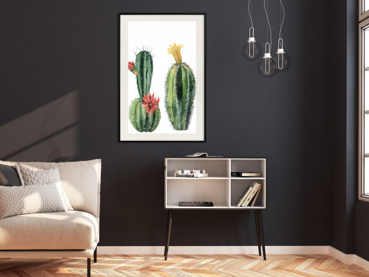 Wall Poster Cacti - composition of two blooming tropical plants on a white background 114305 additionalImage 22