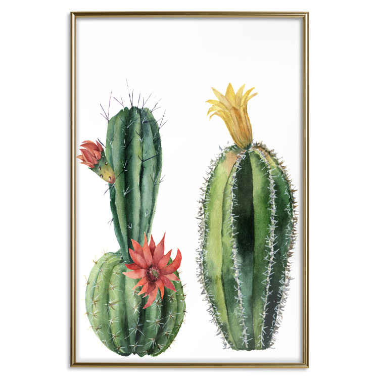 Wall Poster Cacti - composition of two blooming tropical plants on a white background 114305 additionalImage 20