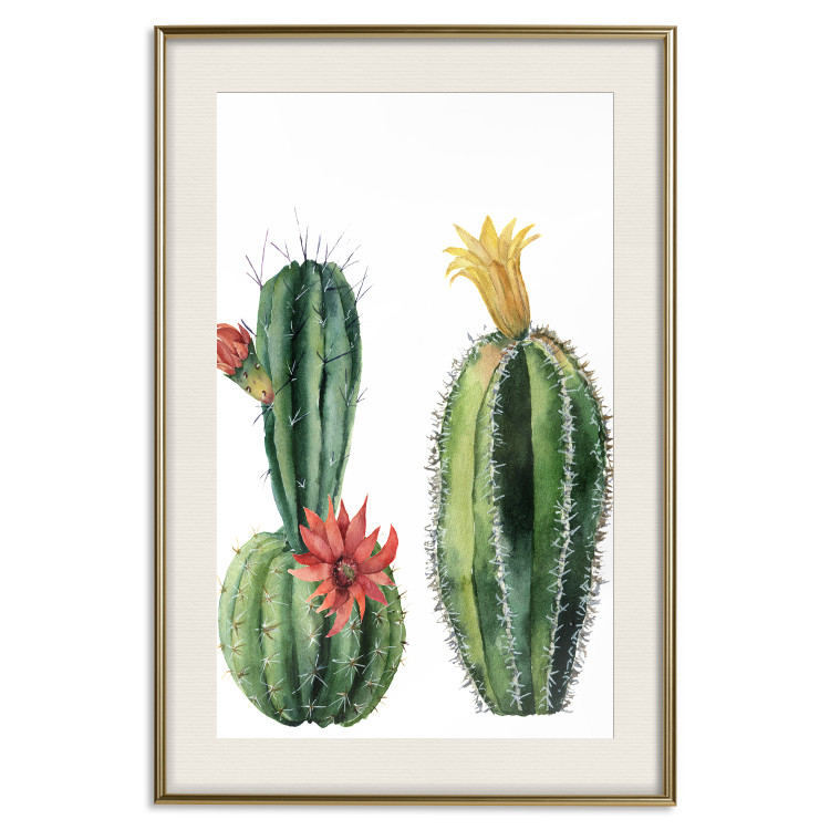 Wall Poster Cacti - composition of two blooming tropical plants on a white background 114305 additionalImage 19