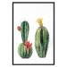 Wall Poster Cacti - composition of two blooming tropical plants on a white background 114305 additionalThumb 15