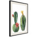 Wall Poster Cacti - composition of two blooming tropical plants on a white background 114305 additionalThumb 3