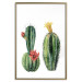 Wall Poster Cacti - composition of two blooming tropical plants on a white background 114305 additionalThumb 16