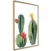 Wall Poster Cacti - composition of two blooming tropical plants on a white background 114305 additionalThumb 12