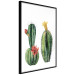 Wall Poster Cacti - composition of two blooming tropical plants on a white background 114305 additionalThumb 13