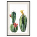 Wall Poster Cacti - composition of two blooming tropical plants on a white background 114305 additionalThumb 18