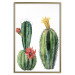 Wall Poster Cacti - composition of two blooming tropical plants on a white background 114305 additionalThumb 16